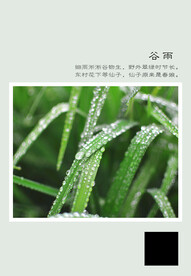 二十四节气 谷雨
