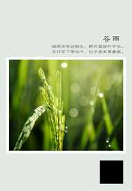 二十四节气 谷雨