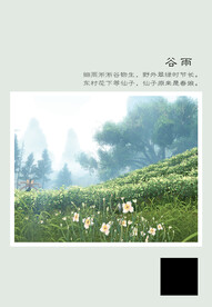 二十四节气 谷雨