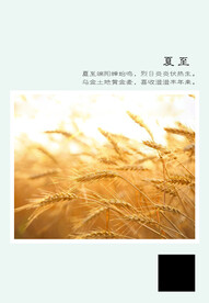 二十四节气 夏至