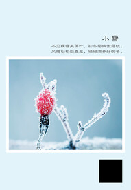 二十四节气 小雪