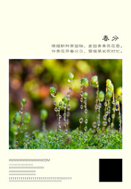二十四节气 春分