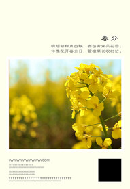 二十四节气 春分