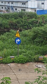 路边风景