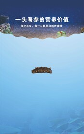 海参海报