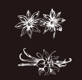 八角和花