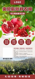 软籽石榴展架