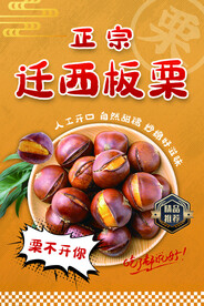 板栗海报