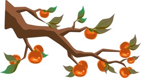 矢量柿子树