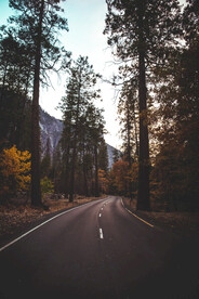 风景柏油路