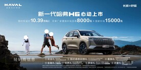 新H6主背景