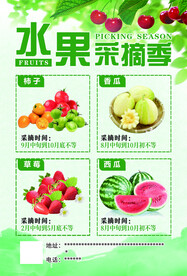 采摘园传单  DM单