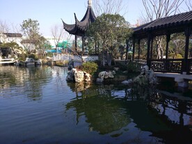  杭州桃李春风