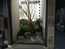  杭州桃李春风