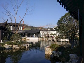  杭州桃李春风 