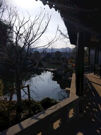  杭州桃李春风  
