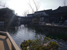 杭州桃李春风