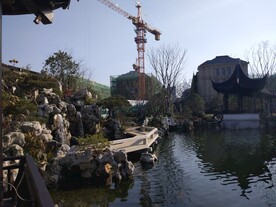 杭州绿城桃李春风别墅水景