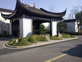  杭州桃李春风