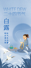 白露二十四节气海报