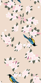 花鸟