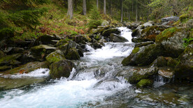 山间流水