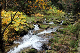 山间流水