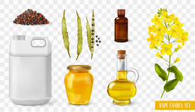 山茶籽油系列素材