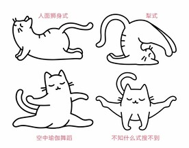 瑜珈猫
