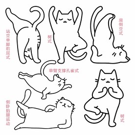 瑜珈猫