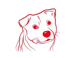 狗 