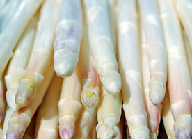 白色芦笋