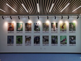 科技馆动物展厅