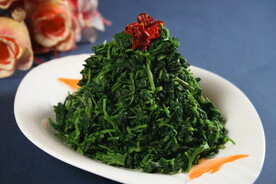 灰灰菜