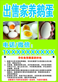 土鹅蛋