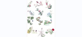 花 草