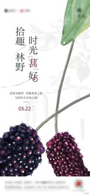 桑葚采摘活动海报