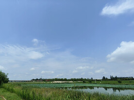 磁河生态湿地
