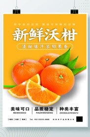 橘子海报