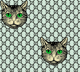 猫头