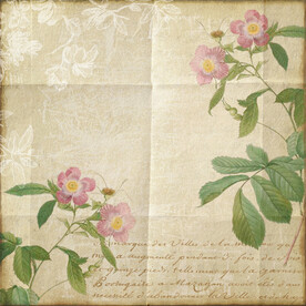 墙纸花纹