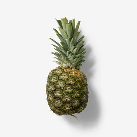 凤梨             