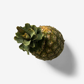 凤梨             