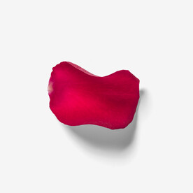 玫瑰花瓣           