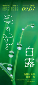 白露