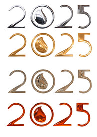 2025年蛇年艺术字体金属字 