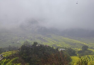 醉美乡村