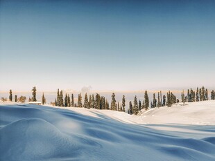 冬天的雪景
