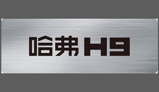 哈弗H9 牌照