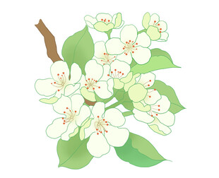卡通手绘花朵